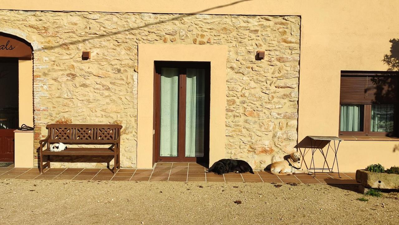 Can Costals Terraza Pals Eksteriør billede