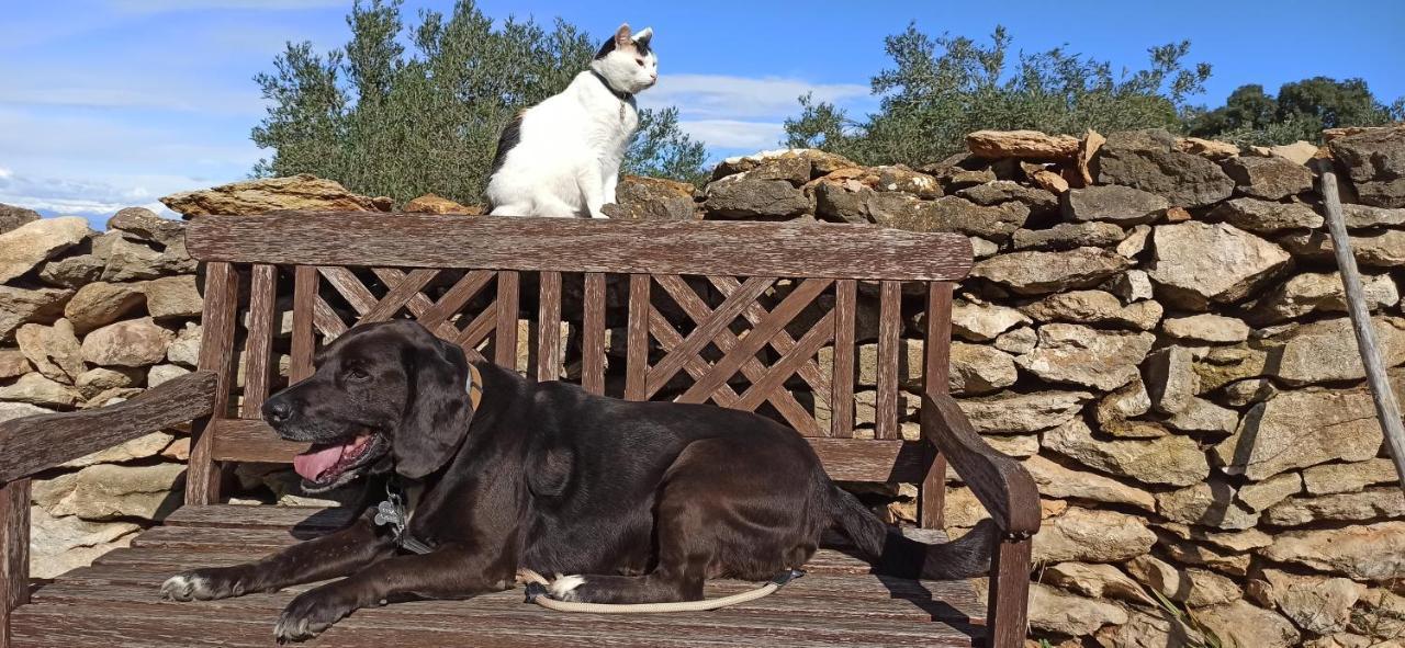 Can Costals Terraza Pals Eksteriør billede